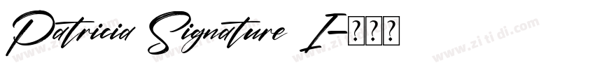 Patricia Signature I字体转换